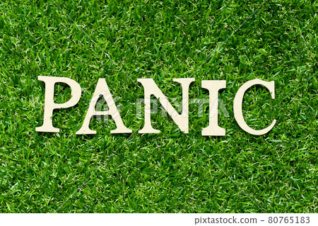 Wood letter in word panic on green grass background 80765183