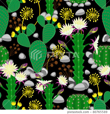 Different blooming cactuses on black background. Floral seamless pattern, vector. 80765589