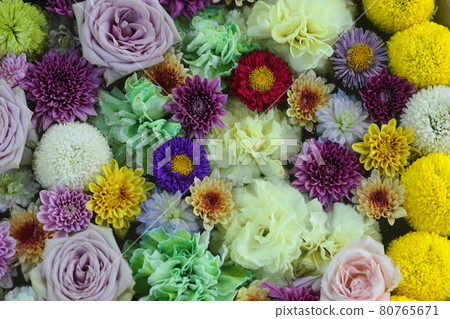 八月足利147花花花花手水/足利花卉公園 80765671