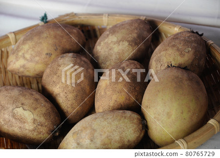 MERSING, MALAYSIA -SEPTEMBER 11, 2016: Manilkara zapota or sapodilla fruit on table. MERSING, MALAYSIA -SEPTEMBER 11, 2016: Manilkara zapota or sapodilla fruit on table. 80765729