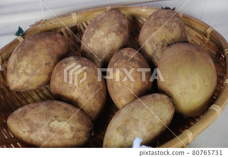 MERSING, MALAYSIA -SEPTEMBER 11, 2016: Manilkara zapota or sapodilla fruit on table. MERSING, MALAYSIA -SEPTEMBER 11, 2016: Manilkara zapota or sapodilla fruit on table. 80765731