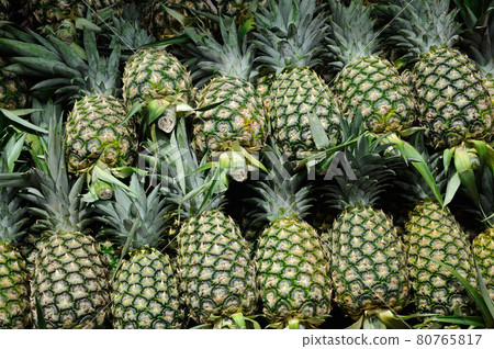 MALACCA, MALAYSIA -OCTOBER 01, 2016: Pile pineapple fruit which has been harvested and display for sale. MALACCA, MALAYSIA -OCTOBER 01, 2016: Pile pineapple fruit which has been harvested and display for sale. 80765817