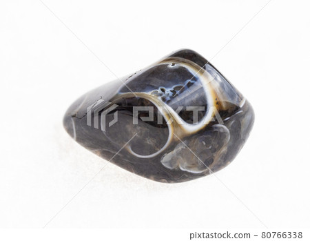 tumbled turritella agate fossil stone on white tumbled turritella agate fossil stone on white 80766338