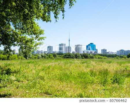 green overgrown meadow and residential district green overgrown meadow and residential district 80766462