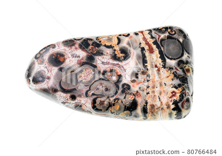 leopard skin jasper (jaguar stone) gemstone cutout leopard skin jasper (jaguar stone) gemstone cutout 80766484