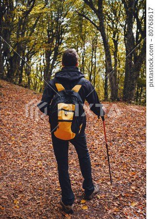 young man traveler in autumn misty nature young man traveler in autumn misty nature 80768617