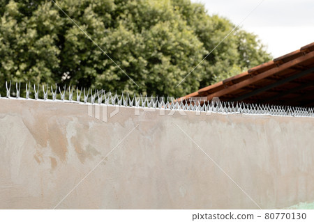 Sharp jaws in the wall Sharp jaws in the wall 80770130