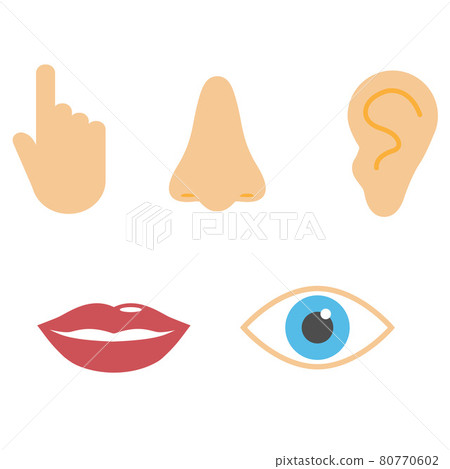 Human senses icon. Vector illustration, flat design. 80770602
