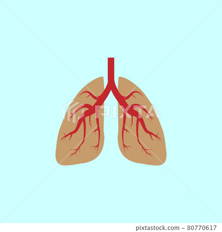 Lungs, medical icon. Vector illustration, flat design. 80770617