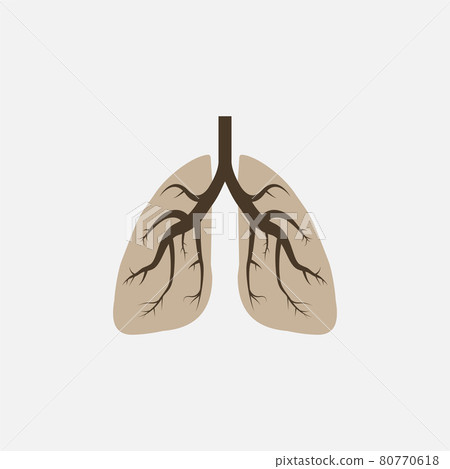 Lungs, medical icon. Vector illustration, flat design. 80770618