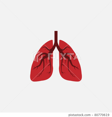 Lungs, medical icon. Vector illustration, flat design. 80770619