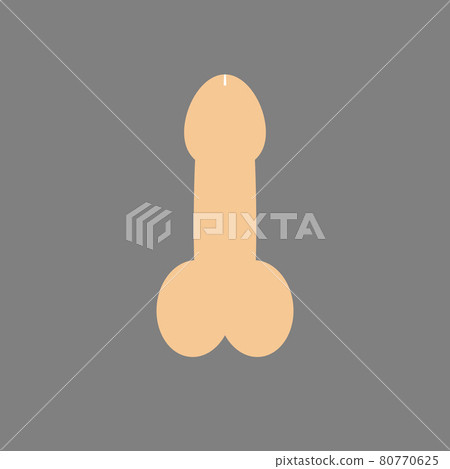 male sex organ penis. Vector illustration, flat design. 80770625