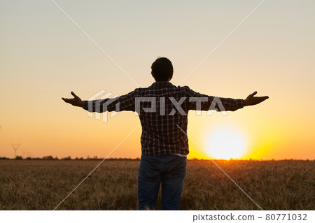 Man grateful for the harvest raised his hands up in the field 80771032