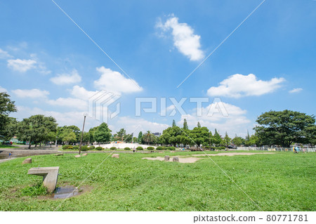 公園景觀 神奈川縣川崎市綠意盎然、草坪廣闊的廣場大師公園 公園景觀 神奈川縣川崎市綠意盎然、草坪廣闊的廣場大師公園 80771781