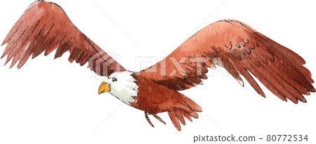 Tourism day concept watercolor Tourism day concept watercolor 80772534