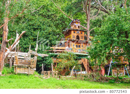 Treehouse temple - Warburton Treehouse temple - Warburton 80772543