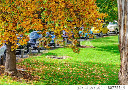 Old cars - Warburton Old cars - Warburton 80772544