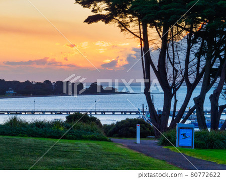 View from The Foreshore - Portarlington 80772622