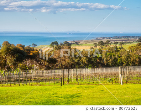 View from the Jack Rabbit Winery - Bellarine Peninsula 80772625