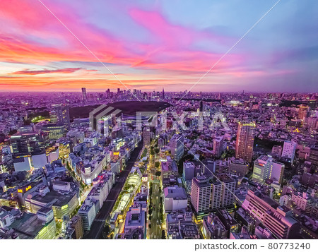 東京 80773240
