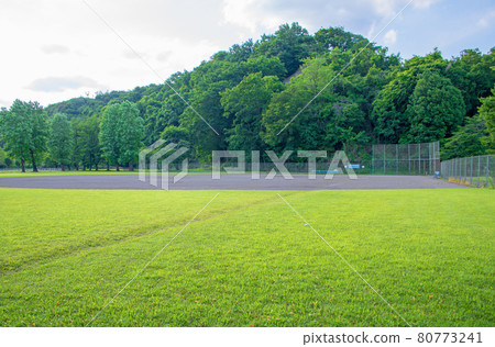 Nishige Sports Park Early Summer Scenery 80773241