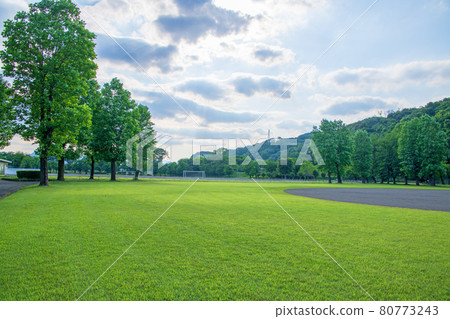 西下運動公園初夏風光 80773243