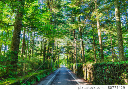 Karuizawa in summer, a quiet villa area 80773429