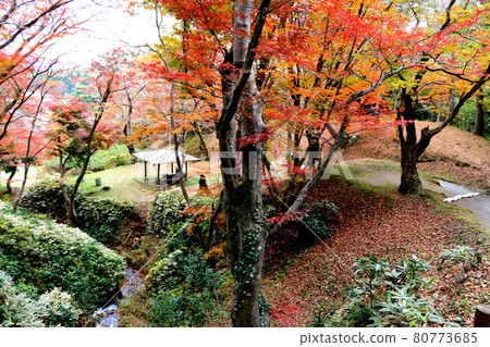 Ashigajo Park in autumn (Fukushima Prefecture, Nihonmatsu City) 80773685