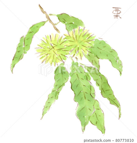 仍然藍色的水彩畫（插圖） 80773810