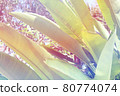Tropical tropical plants 80774074