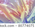 Tropical tropical plants 80774075
