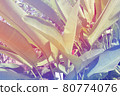 Tropical tropical plants 80774076