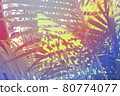 Tropical tropical plants 80774077