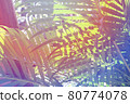 Tropical tropical plants 80774078