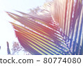 Tropical tropical plants 80774080