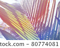 Tropical tropical plants 80774081