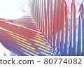 Tropical tropical plants 80774082