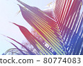 Tropical tropical plants 80774083