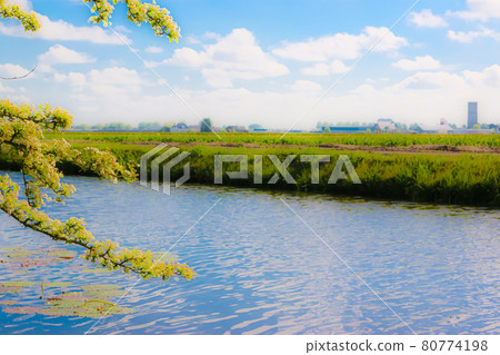 荷蘭鄉村 80774198