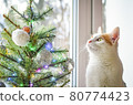 A tricolor domestic cat looks Christmas tree. 80774423