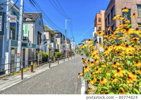 Cityscape of Tokyo Shibuya Shibuya Cat Street 80774824