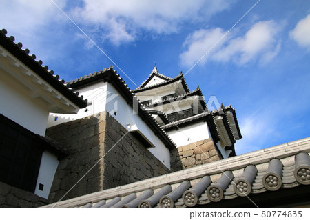 秋天的小峰城/三重塔（福島縣白川市） 80774835