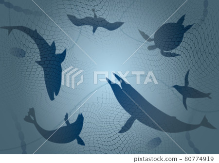 Marine pollution. Environmental destruction of the sea caused by fishing gear and danger to living things 80774919