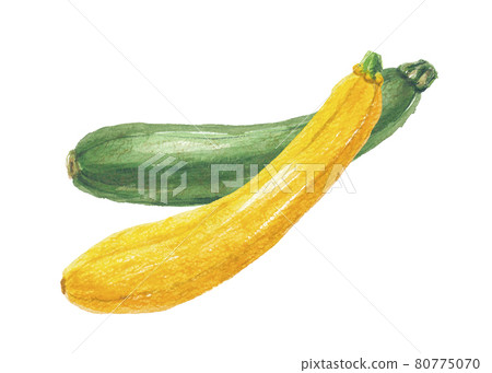 Zucchini green and yellow 80775070