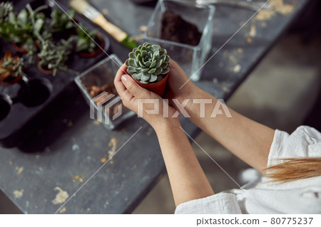 Young happy caucasian kid girl is holding a plant in her hands at botanic store Young happy caucasian kid girl is holding a plant in her hands at botanic store 80775237