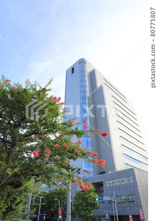 Sumida Ward Office Building Sumida Ward Office Building 80775807