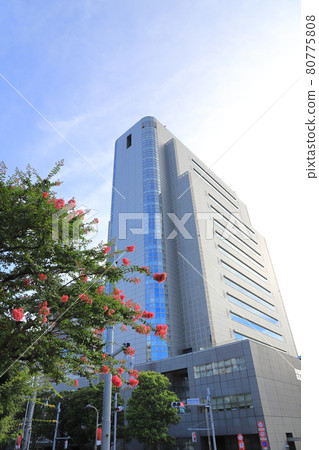 Sumida Ward Office Building 80775808