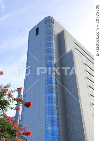 Sumida Ward Office Building Sumida Ward Office Building 80775809