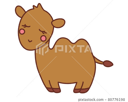 camel 80776198