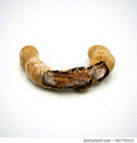 Tamarindus indica is the fungus on the White Blackground Tamarindus indica is the fungus on the White Blackground 80776322